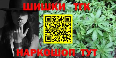 индика Брянск