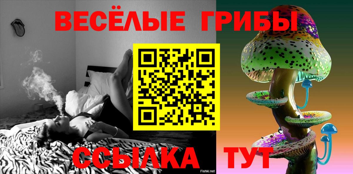 Севастополь  Галлюциногенные грибы Psilocybine cubensis  Галлюциногенные грибы Psilocybe  Вход с VPN 